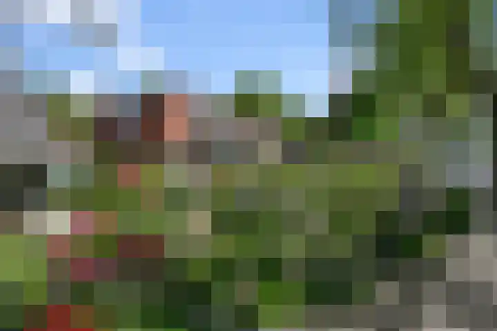Sportstraat 2 Koog aan de Zaan thumbnail 42
