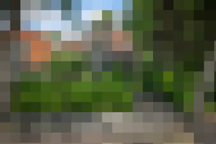 Sportstraat 2 Koog aan de Zaan thumbnail 43
