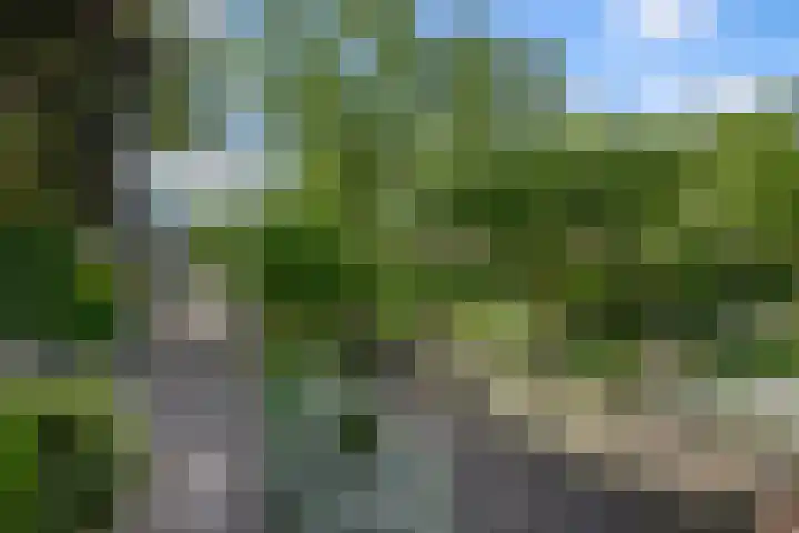 Sportstraat 2 Koog aan de Zaan thumbnail 45