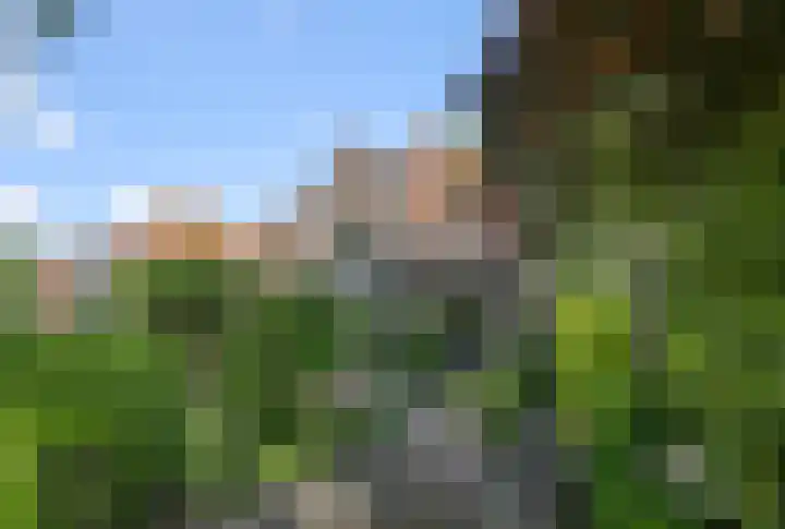 Sportstraat 2 Koog aan de Zaan thumbnail 50