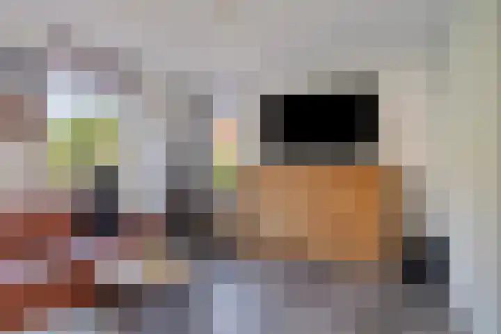 Sportstraat 20 Kolhorn thumbnail 11