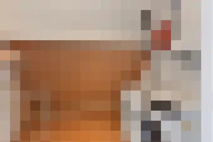 Sportstraat 20 Kolhorn thumbnail 28
