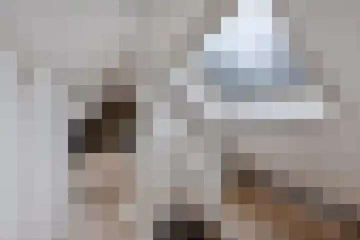 Sportstraat 20 Luttelgeest thumbnail 25