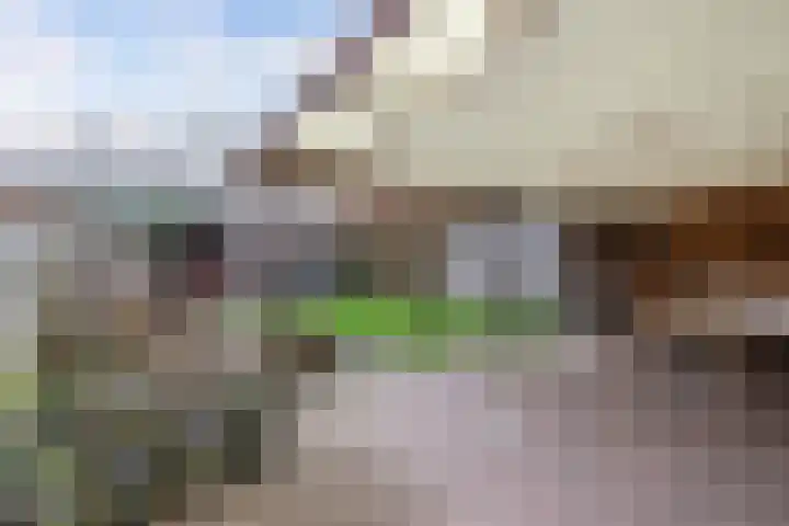 Sportstraat 20 Luttelgeest thumbnail 29