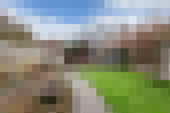 Sportstraat 20 Luttelgeest thumbnail 30
