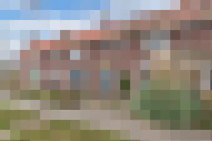 Sportstraat 20 Luttelgeest thumbnail 4