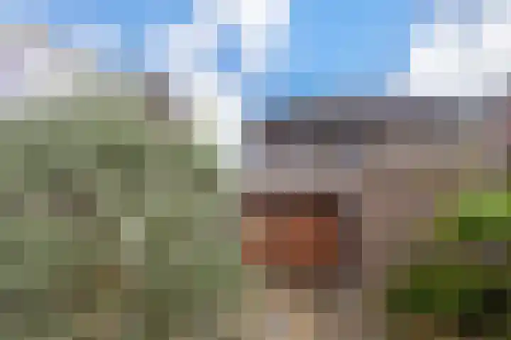 Sportstraat 22 Kerkrade thumbnail 38