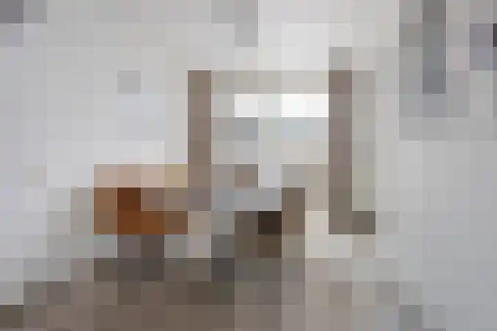 Sportstraat 22 Roermond thumbnail 12