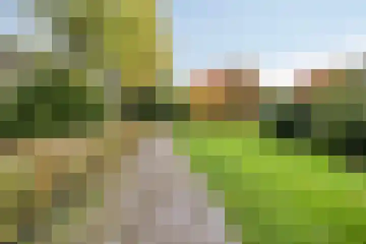 Sportstraat 22 Roermond thumbnail 36