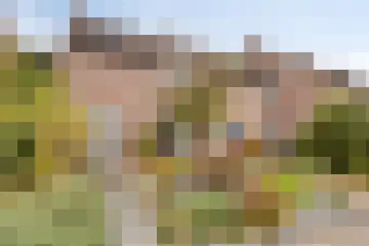 Sportstraat 22 Roermond thumbnail 5