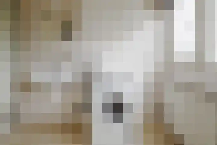 Sportstraat 25 Kloosterhaar thumbnail 30