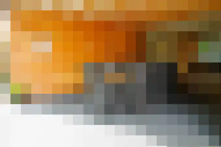 Sportstraat 25 Kloosterhaar thumbnail 35