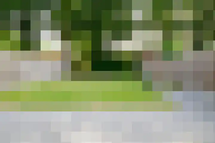 Sportstraat 25 Kloosterhaar thumbnail 37