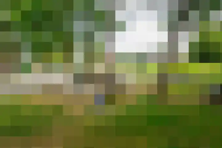 Sportstraat 25 Kloosterhaar thumbnail 43