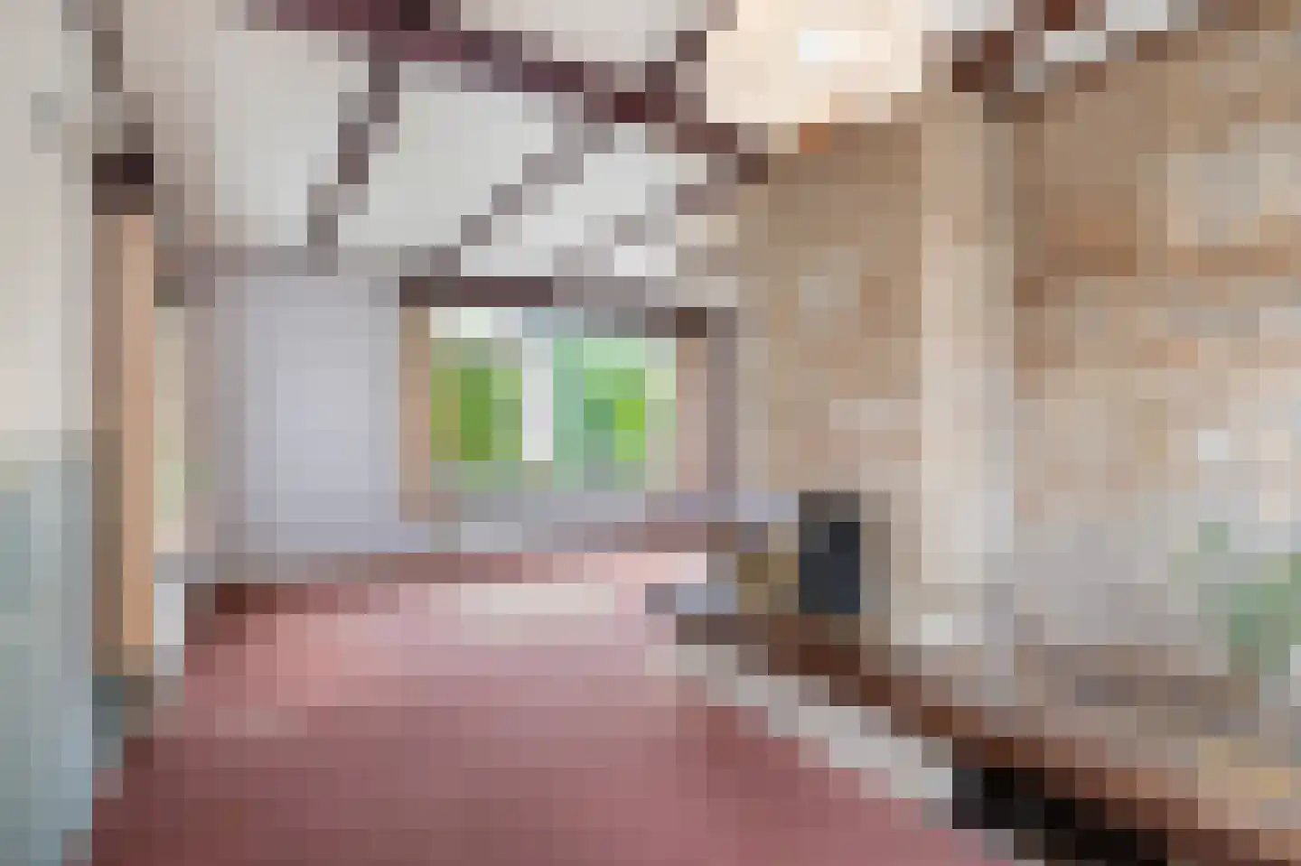 Sportstraat 25 Kolhorn thumbnail 13