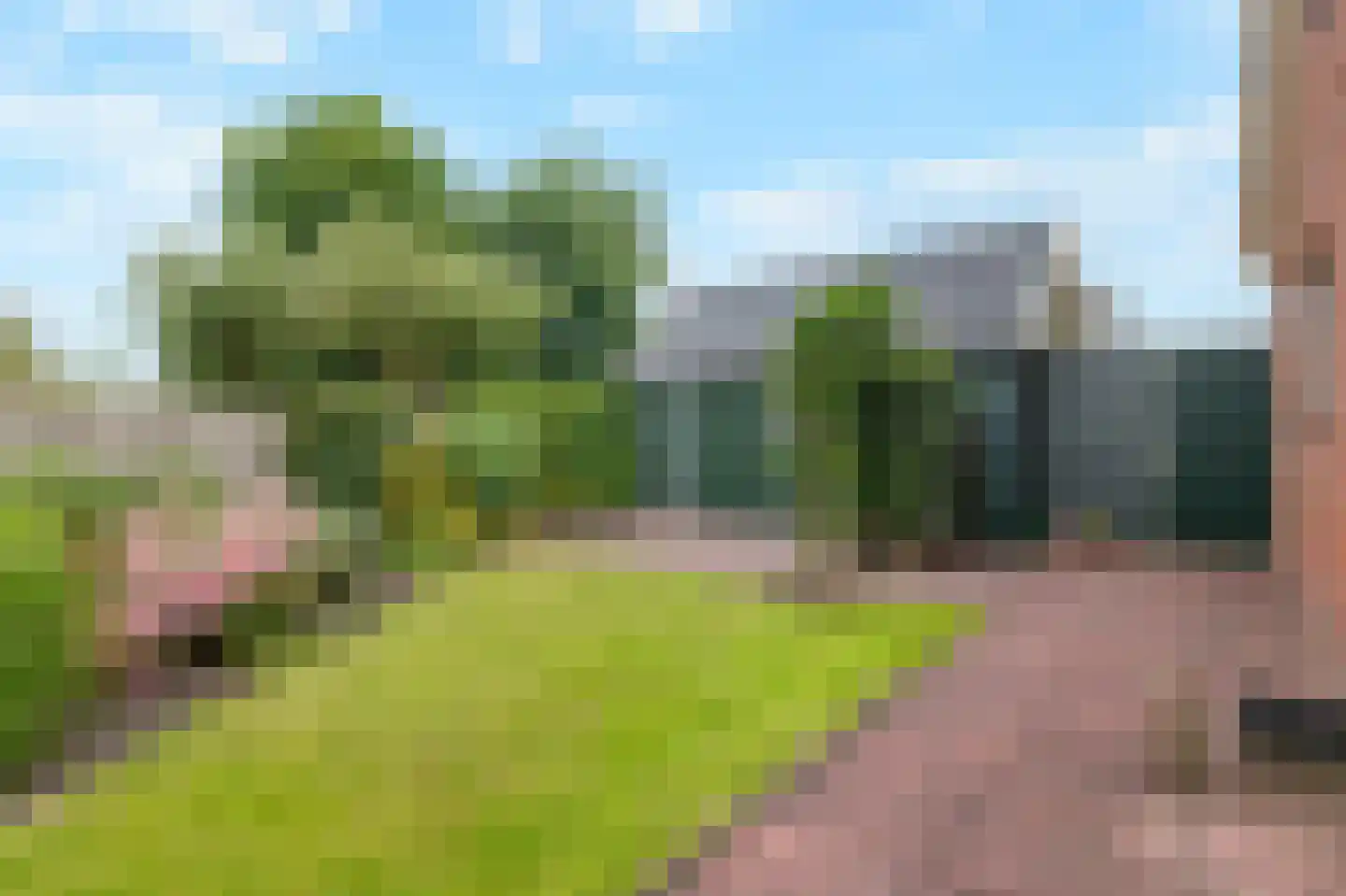 Sportstraat 25 Kolhorn thumbnail 40