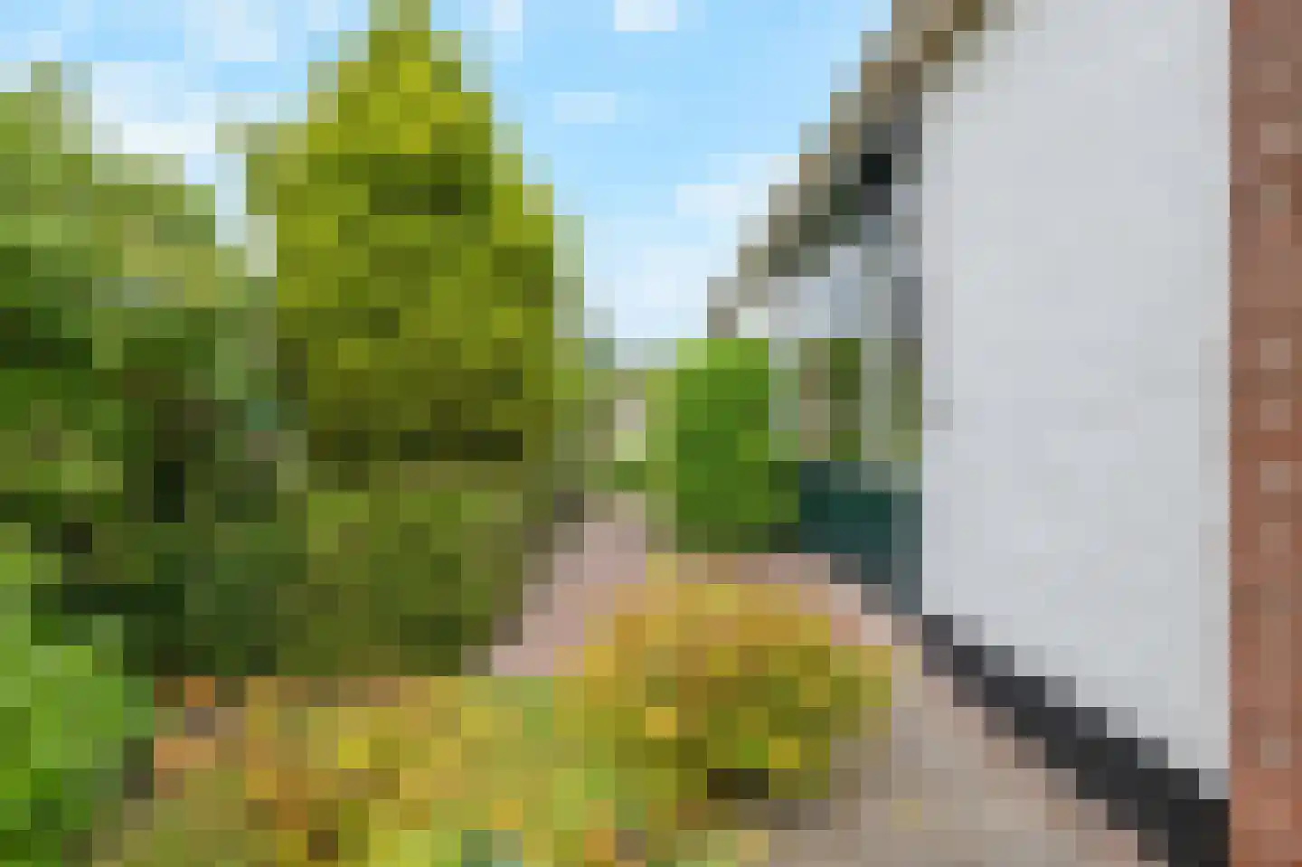 Sportstraat 25 Kolhorn thumbnail 43