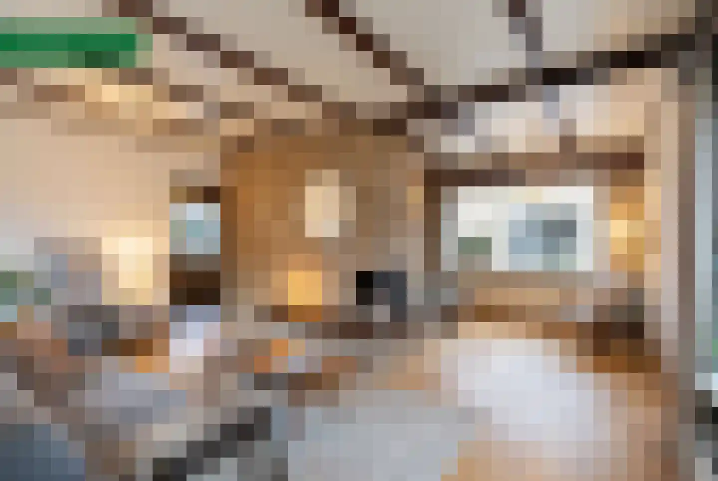 Sportstraat 25 Kolhorn thumbnail 9