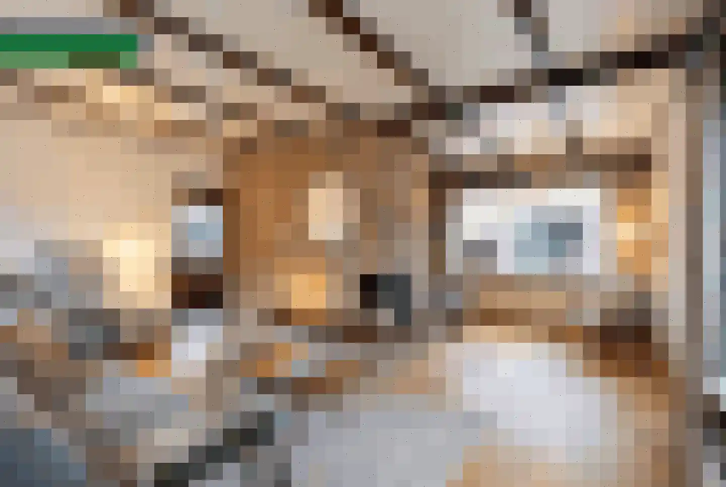 Sportstraat 25 Kolhorn thumbnail 9