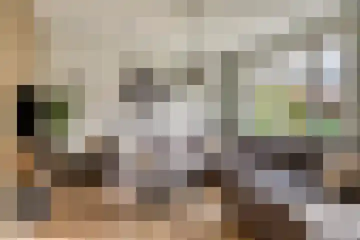 Sportstraat 29 Kolhorn thumbnail 17