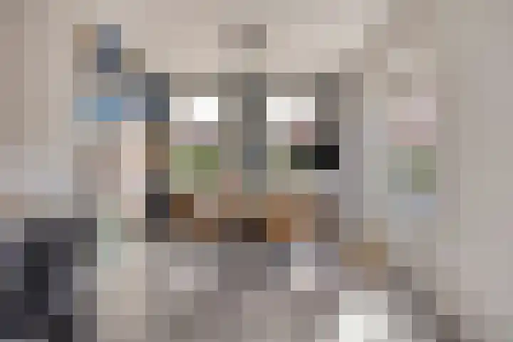 Sportstraat 29 Kolhorn thumbnail 26