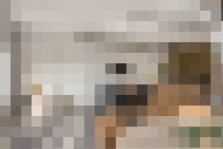 Sportstraat 29 Kolhorn thumbnail 27