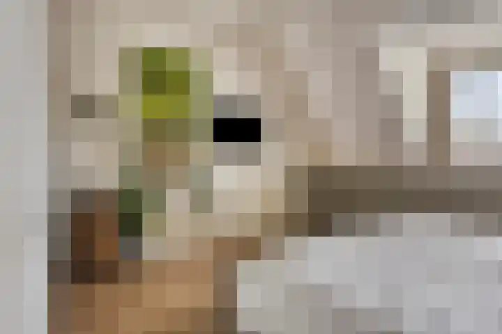 Sportstraat 29 Kolhorn thumbnail 39