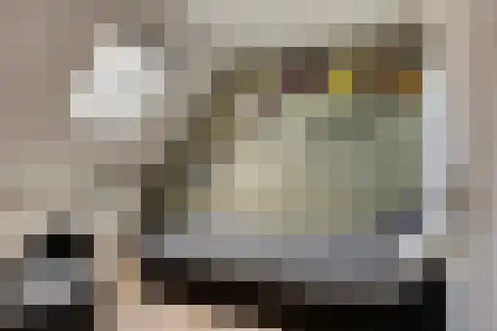 Sportstraat 29 Kolhorn thumbnail 49