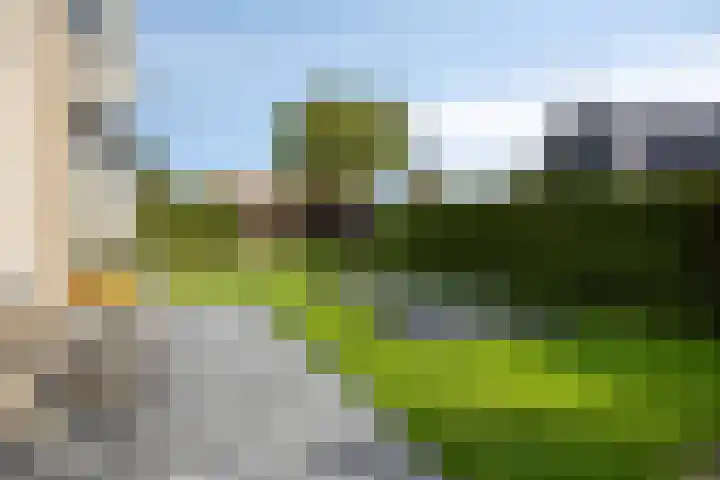 Sportstraat 29 Kolhorn thumbnail 50