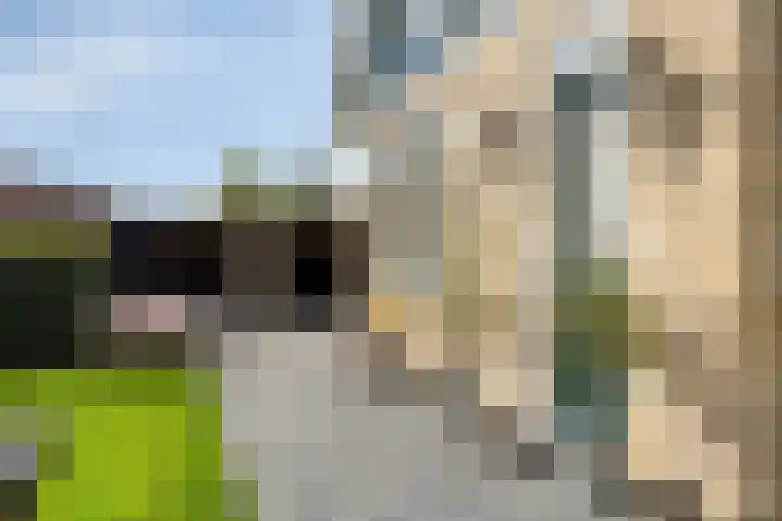 Sportstraat 29 Kolhorn thumbnail 54