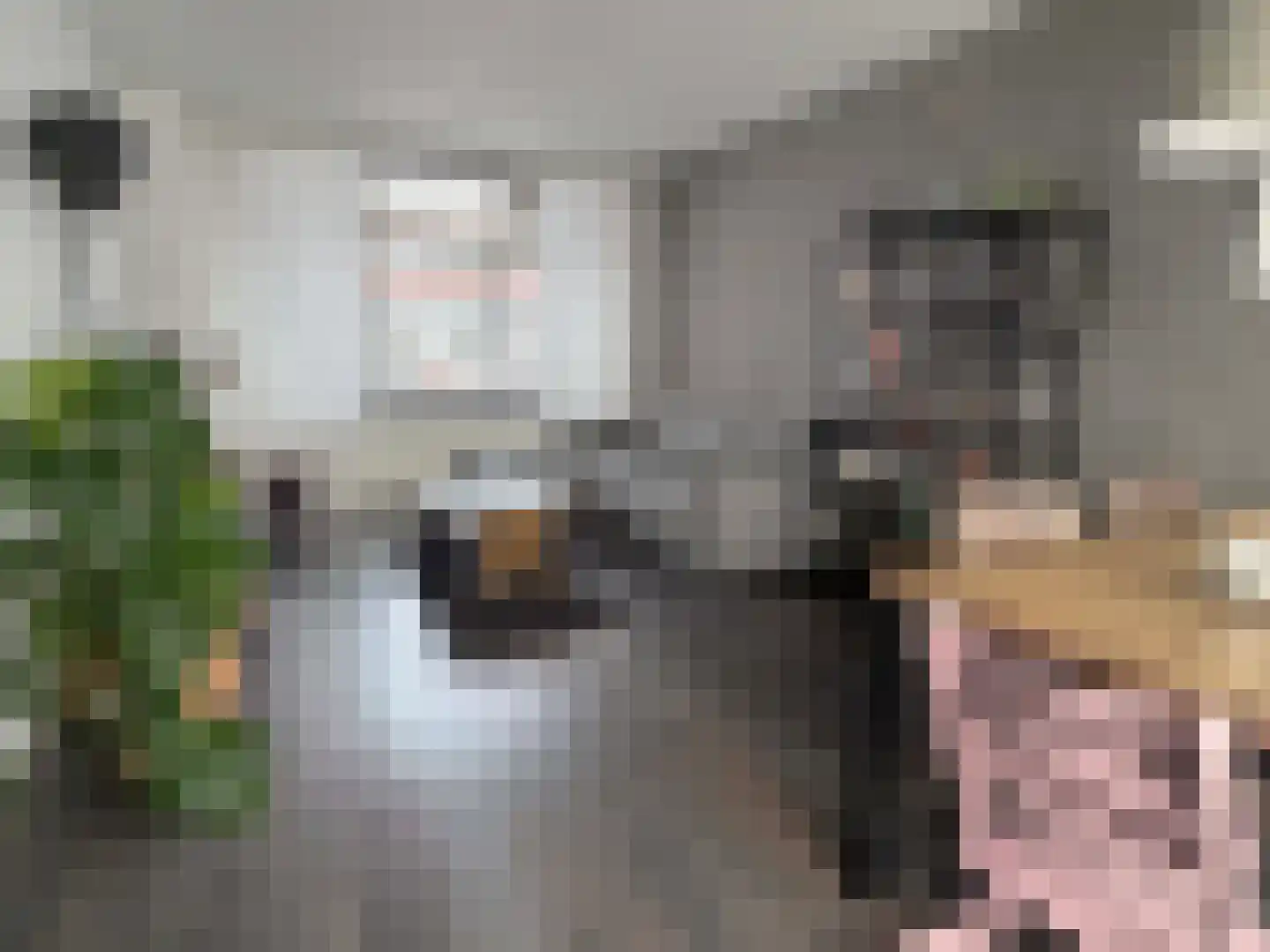 Sportstraat 5 Coevorden thumbnail 4