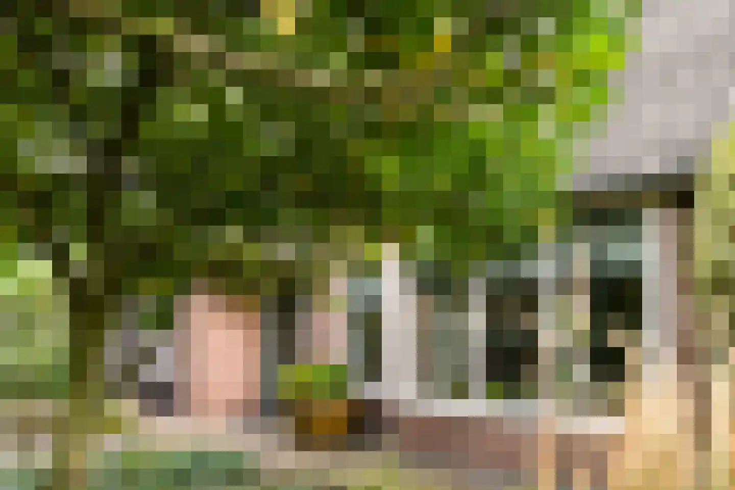 Sportstraat 5 Valkenswaard thumbnail 5