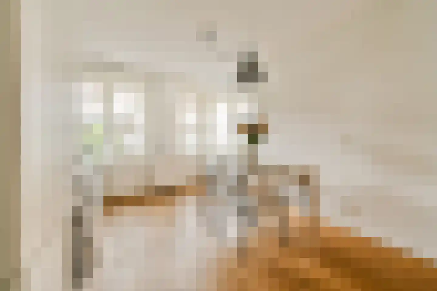 Sportstraat 6 2 Amsterdam thumbnail 6