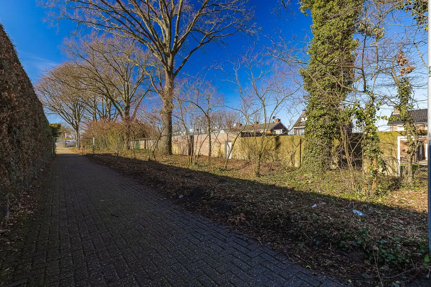 Sportstraat 65 Roosendaal thumbnail 42