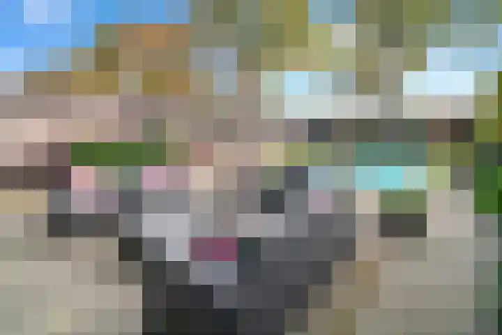 Sportstraat 67 Roosendaal thumbnail 30
