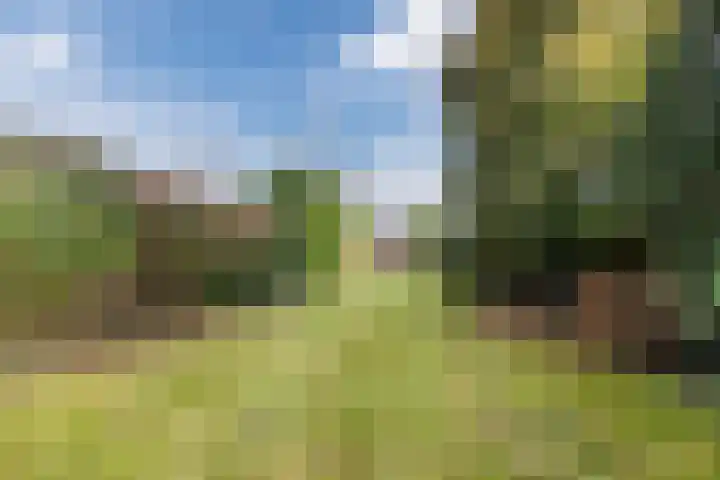 Sportstraat 7 Valkenswaard thumbnail 31