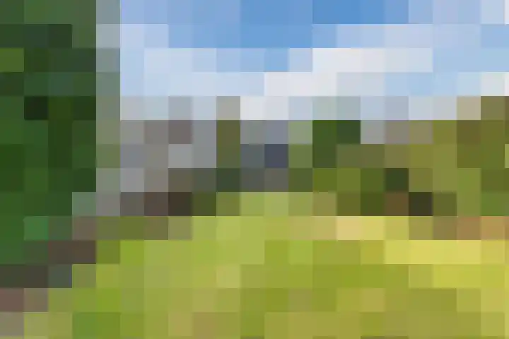 Sportstraat 7 Valkenswaard thumbnail 32