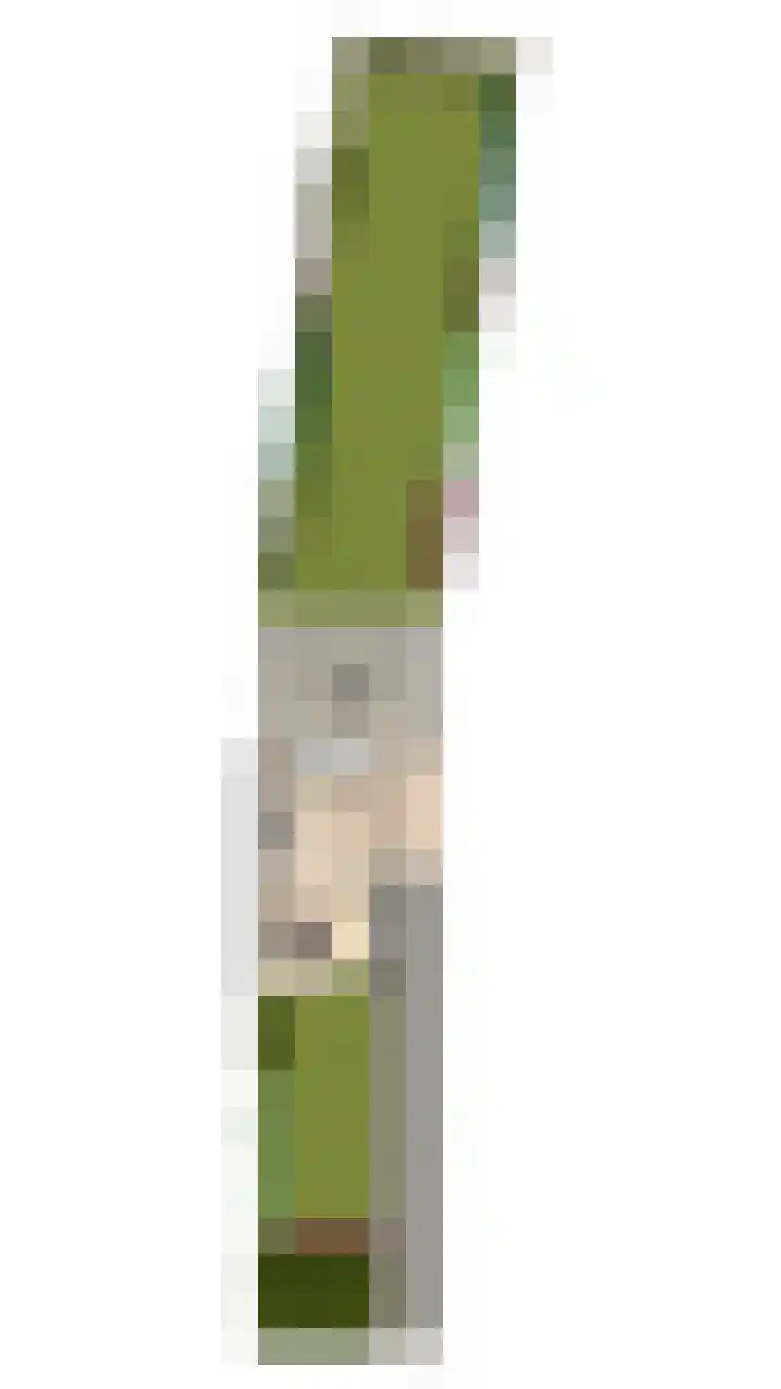 Sportstraat 7 Valkenswaard thumbnail 36