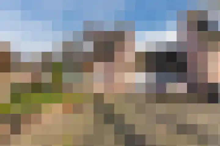Sportstraat 7 Valkenswaard thumbnail 4