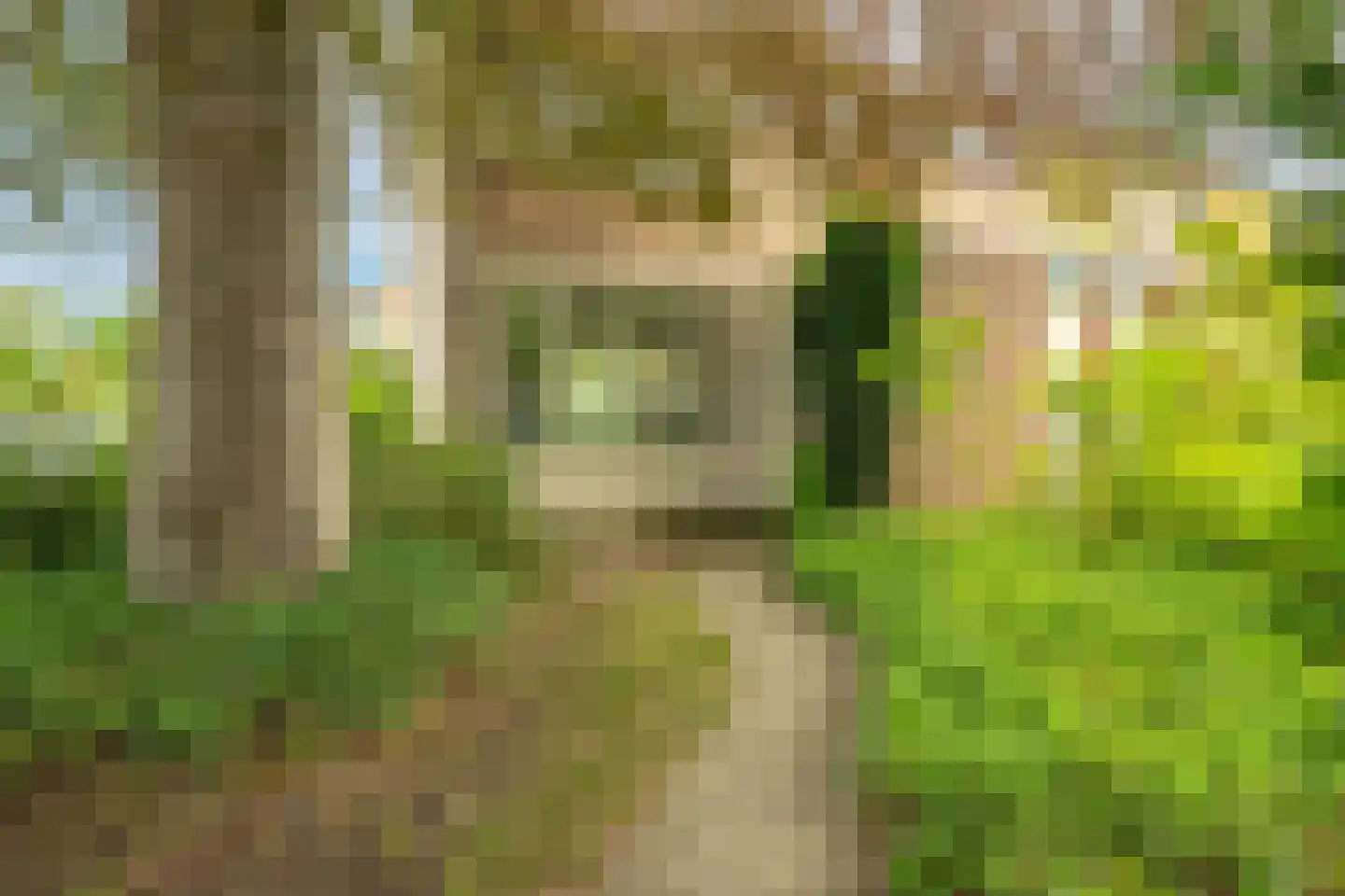 Sportstraat 74 Wageningen thumbnail 4