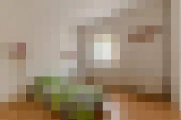Sportstraat 8 Koog aan de Zaan thumbnail 18