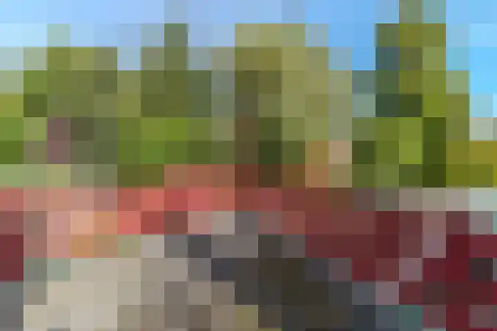 Sportstraat 8 Koog aan de Zaan thumbnail 22