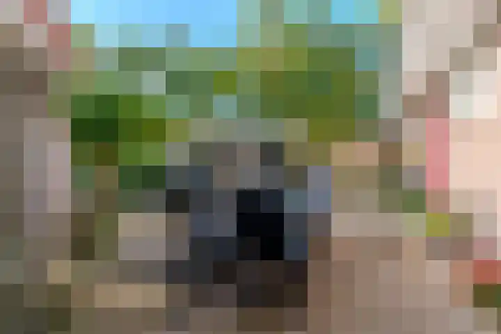 Sportstraat 8 Koog aan de Zaan thumbnail 27