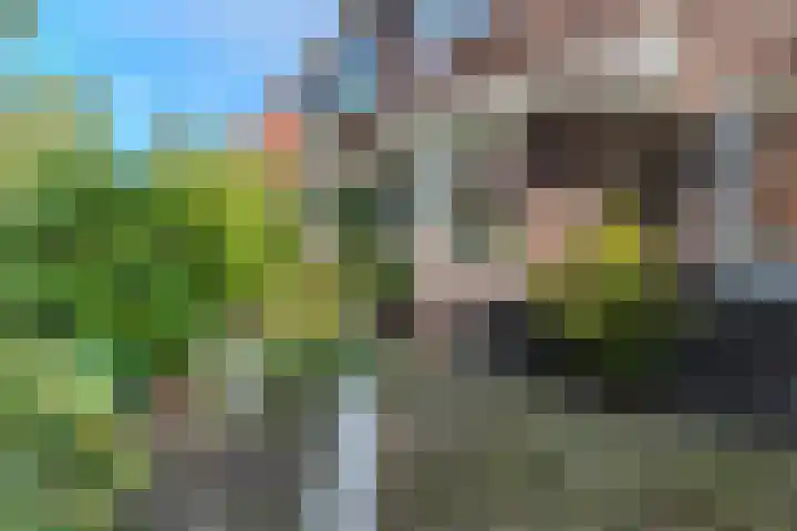 Sportstraat 8 Koog aan de Zaan thumbnail 4