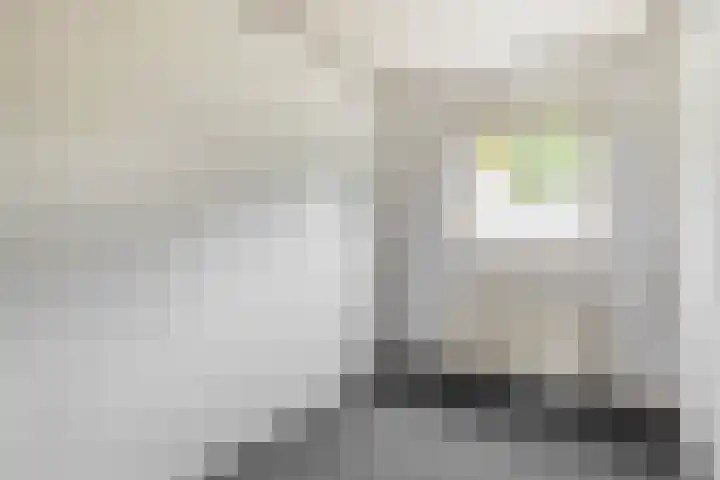Sportterreinstraat 10 Wildervank thumbnail 17