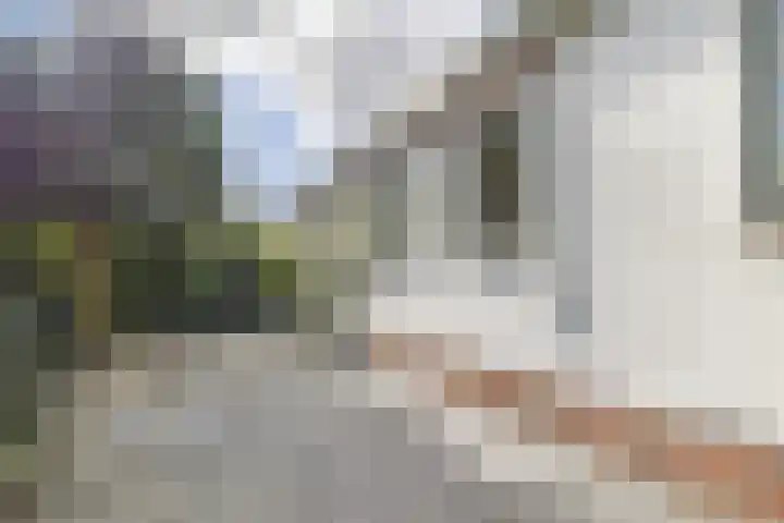 Sportterreinstraat 10 Wildervank thumbnail 20