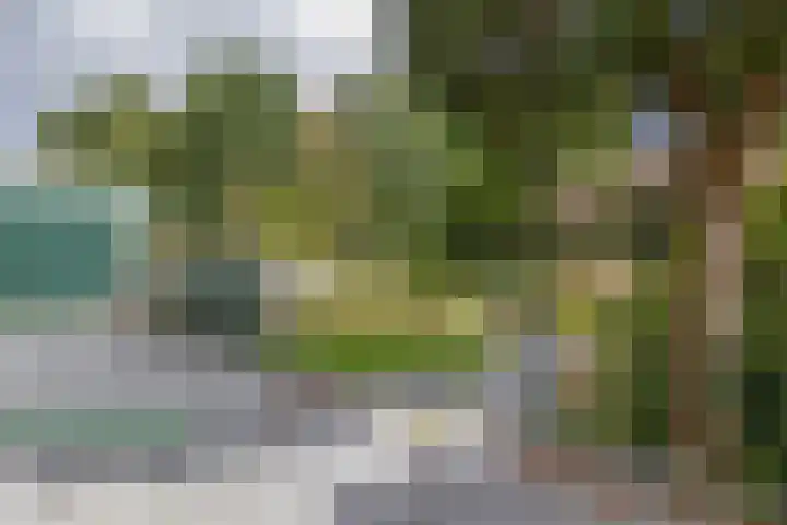 Sportterreinstraat 10 Wildervank thumbnail 22