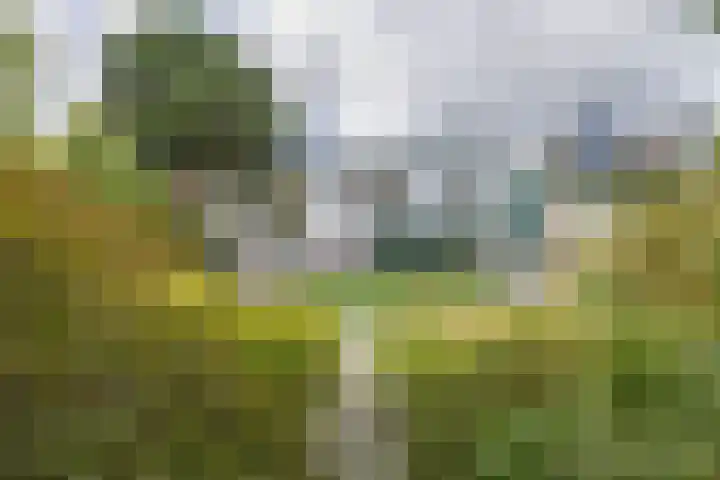 Sportterreinstraat 10 Wildervank thumbnail 23