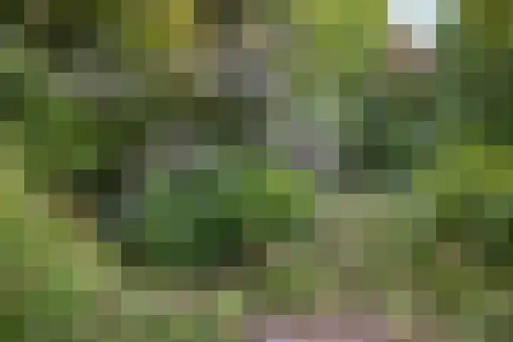 Sportterreinstraat 10 Wildervank thumbnail 24