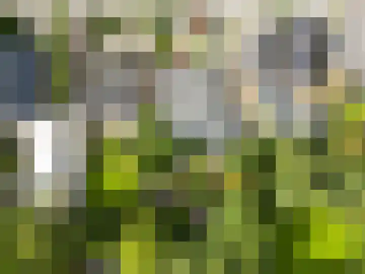 Sportterreinstraat 10 Wildervank thumbnail 25